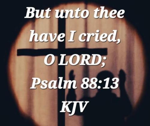 d0d67350-c577-43f0-8b2c-9b6ca4670001