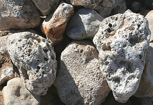 042126 - If You Have A Shepherd - You Have to Move