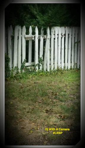 Screenshot_20260424_074242_Gallery