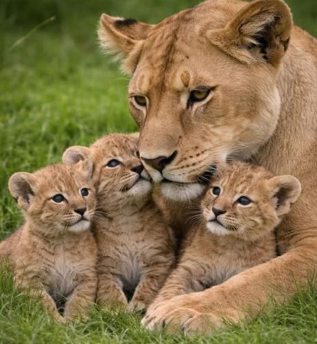 0b41a6a4ff5777774ecedc3d2c52f646