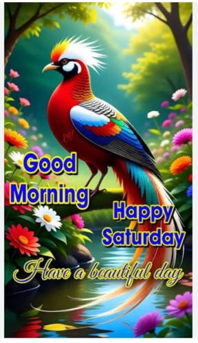 09:35:54 GMT-0400