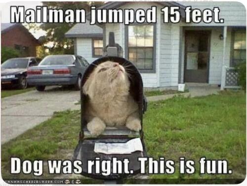 03e5d9628a03296880574b7472b777be