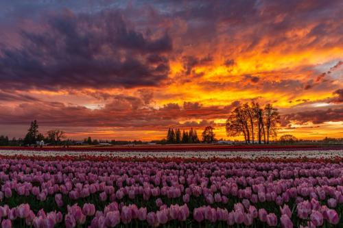 677946439_122257688318157079_318664627191100708_n