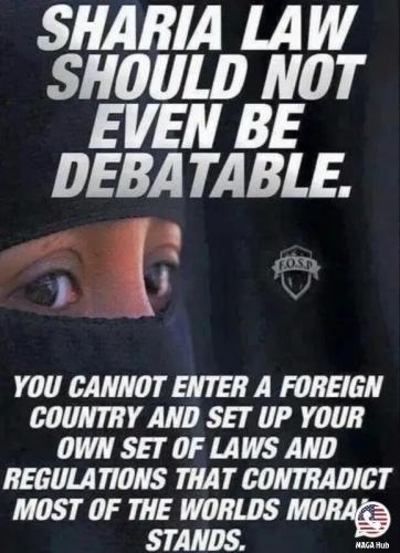 17768520969698501016393093543329_2044216713071383