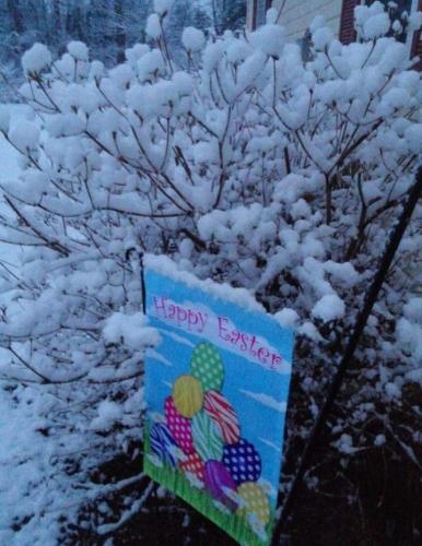 Screenshot_20260406_095000_Gallery