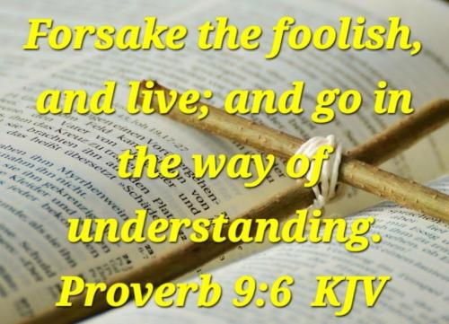 a8d6a13a-ed1c-401d-8640-9c1f0143ed15