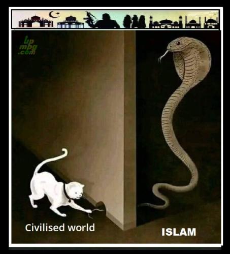 main-qimg-f9717139121a007efda5aa4fb2b18f78