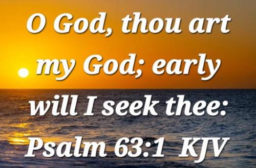 f006d375-6e50-4b1b-8c4f-ec79b9b1d7de