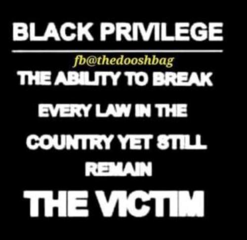 72B8399D-C79D-4FEF-BD27-83CF5C89491C-8692-000003AAD90F3E7B