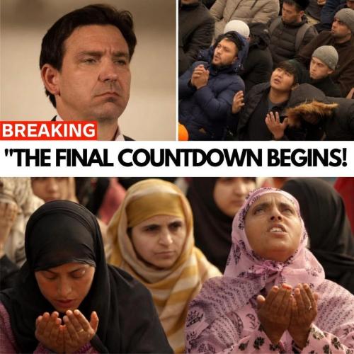 42f4c03a-b3cf-4ab9-95c5-79fa050e49d6