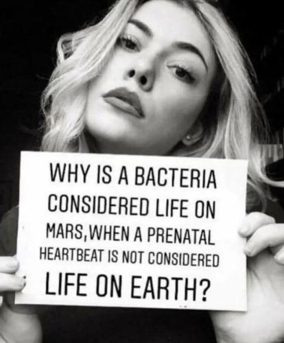 msfvxqcdhqs3egxpaefhbzumhmjphhdm