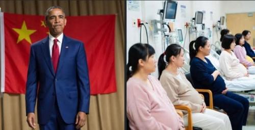 This this is appalling!! Hang the bitch obama!!!