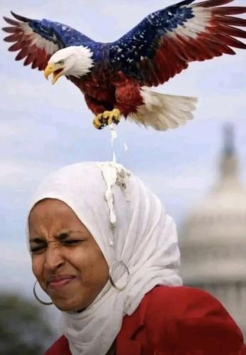 95d94d09-7271-4fa4-a087-4efb70e23aec