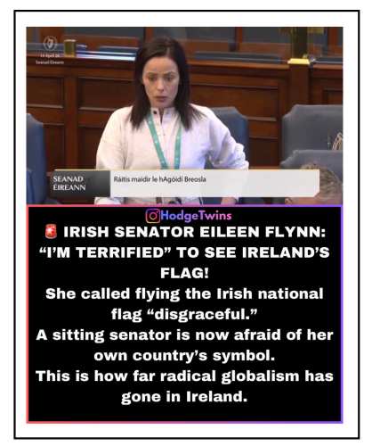 irish senator