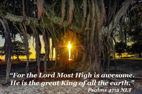 for-the-lord-most-high-is-awesome
