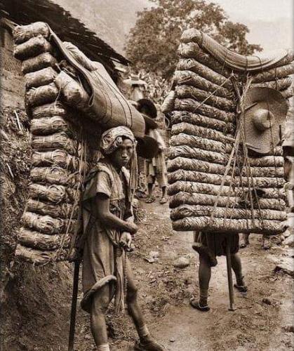 FB_IMG_1555079355513