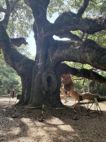 672325165_1449751579577326_8785270848314370225_n