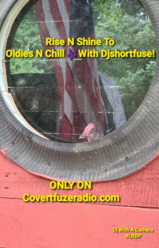 Screenshot_20260413_071416_Gallery