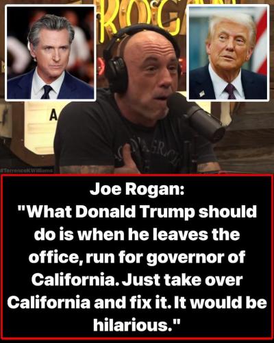 FB_IMG_1775071726437