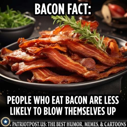 01KP3B8S1C86TZTEH5YNB3HFX6