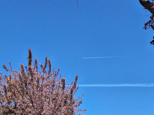 3fa8d51d-0d4e-4fd3-8e5e-5c9f07e304e1