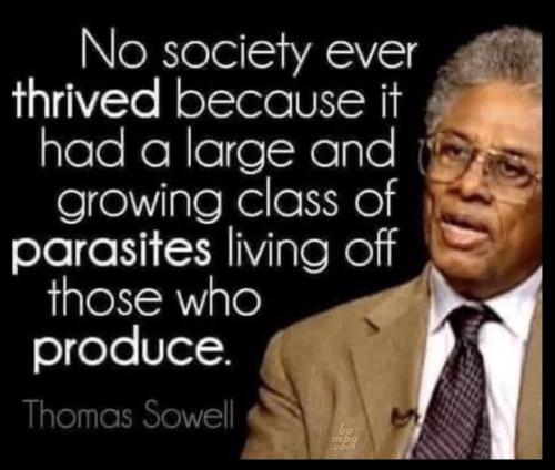 _main-qimg-500cbac79dabbf9509a287101f0529f6