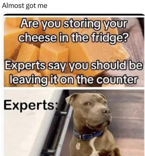 leave-cheese-on-counter