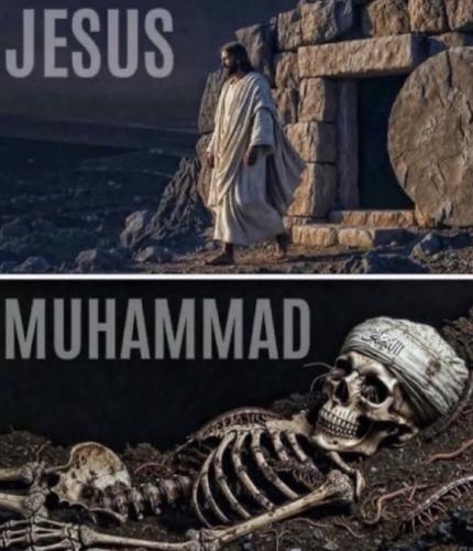 13146115-46b6-43f6-bc11-a712c7e064e7