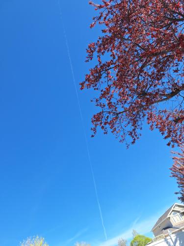 ccc27e1c-709f-49b3-848c-6565538a4c0f