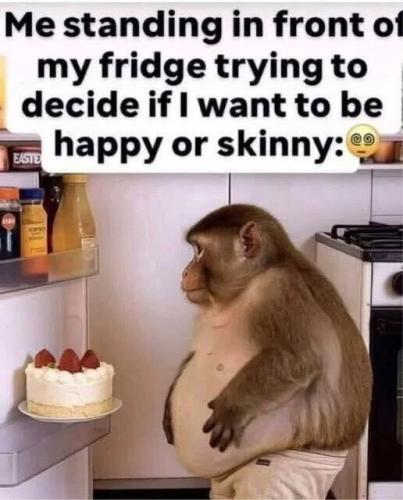 da0b4730f71090781761c07a0a5cd235