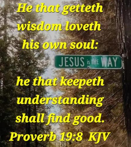 ebfad82d-655c-4c9c-9c00-02e88b28a921