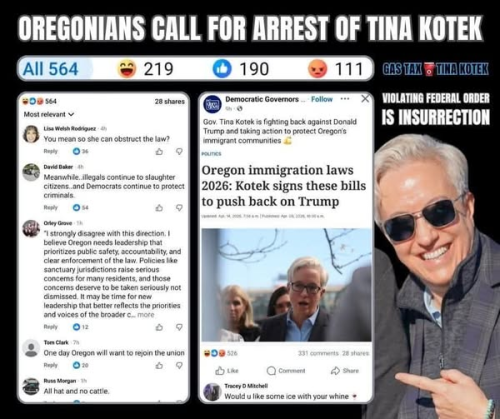 kotek oregons