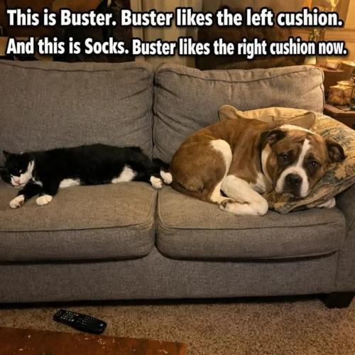 13aac3a1f9f7984db401ce624f3f8bd4