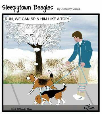 bd143ee5d983a0f8e6a4d3cd49ea7f61