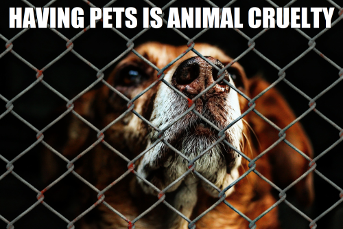 Having pets is animal cruelty2