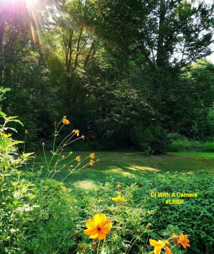 Screenshot_20260329_091805_Gallery