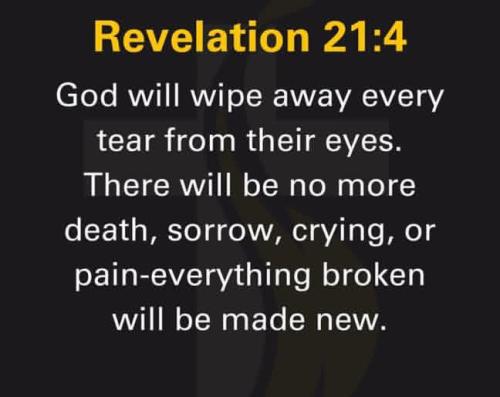 IMG_20260404_181151_993