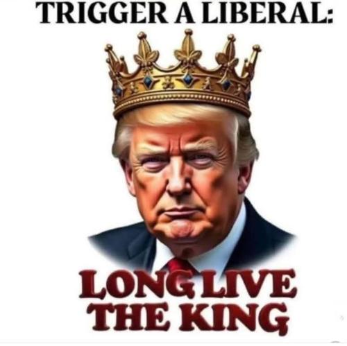 FB_IMG_1775314695367