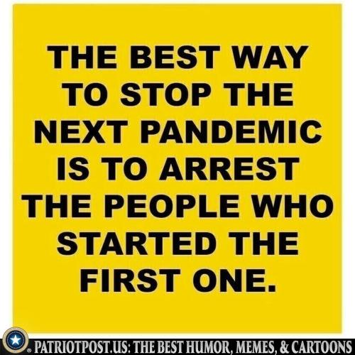 01KPZVXER8K684ZY499XJRGMYP