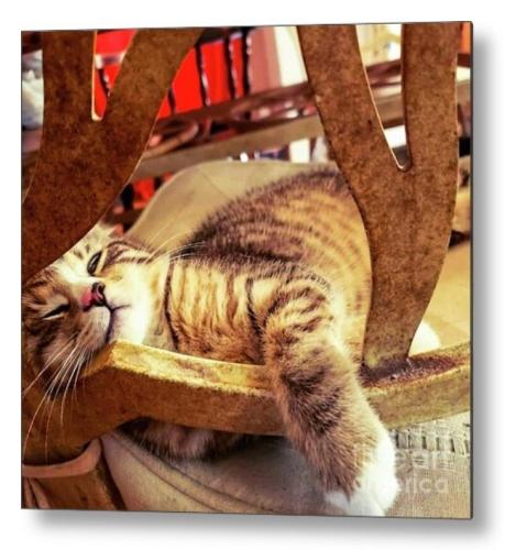 Screenshot_20260422_110655_Brave