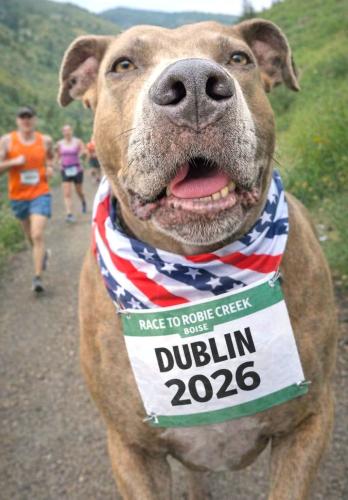 RACE TO ROBIE CREEK 2026