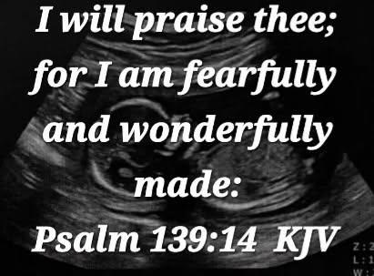 b5f8cec0-5048-4f15-aab0-2193b1e306f8