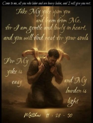 612cb19d19cee3e5b20942b9161e6e04