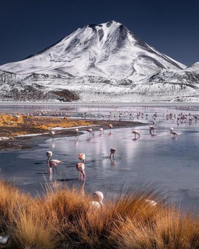 658782947_2896225480729635_594280649521891651_n