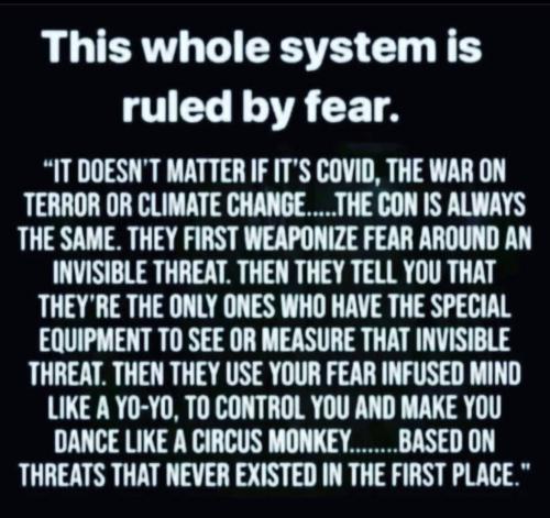 IMG_20260411_114020_503