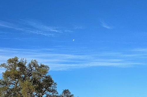 Daytime moon
