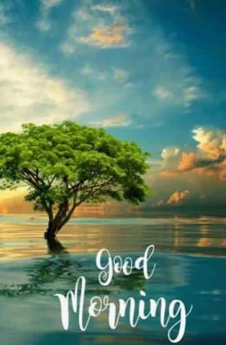 f92cad9b89654a05cf52b2f803a7260c