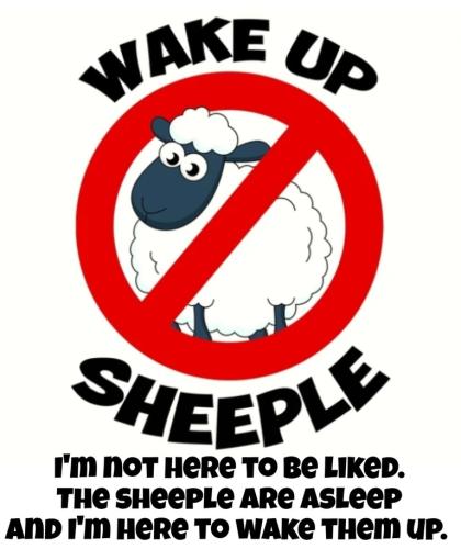 I'm not here to be liked. The sheeple are asleep and I'm here to wake them up.768px