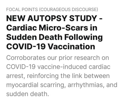 Screenshot_20260420_233010_Substack