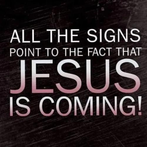 TESTHUB_photos_users_KPBY8Tc46ldqLjWXf6bqxqOW3AR2_-OqvDlyBgzxYVhK4KVCu_img_rsz__1100x1100